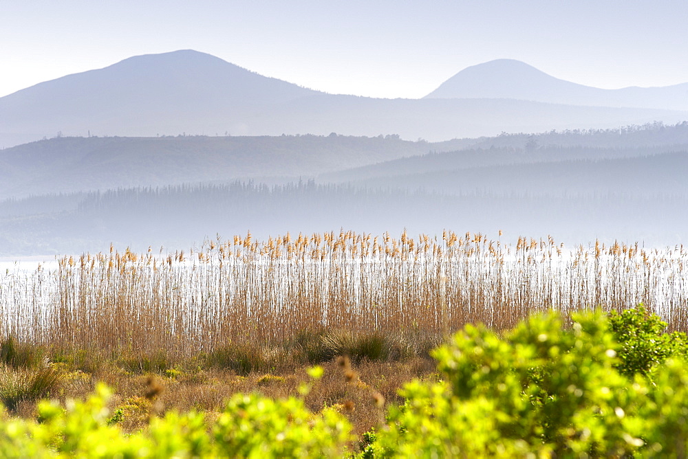 View of Swartvlei and the Outeniqua Mountains along the Garden Route in Western Cape Province, South Africa, Africa