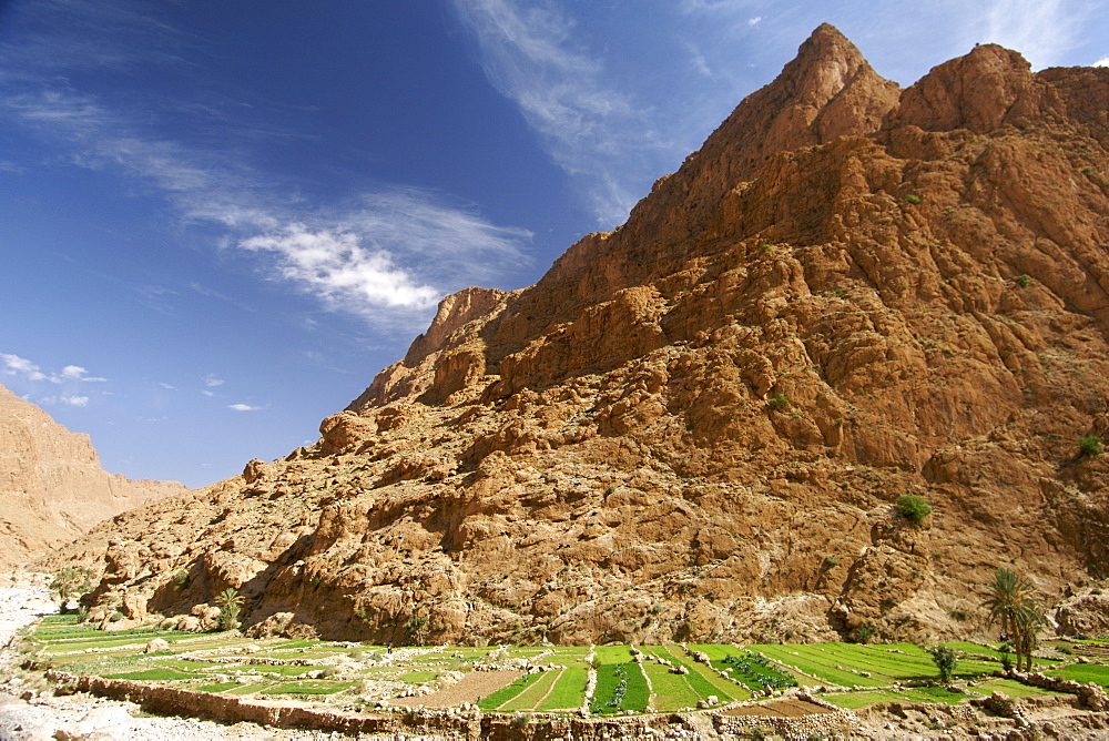 Plantations and dry river bed in the Todra Gorge near Tinehir in the High Atlas mountains of Morocco