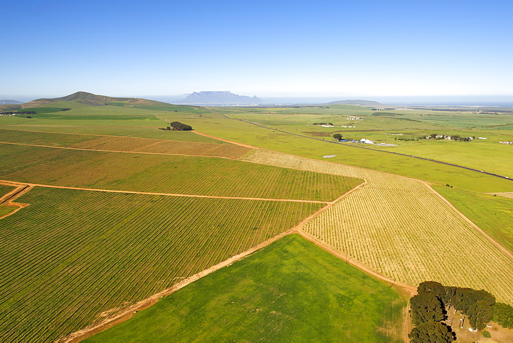 Aerial view over the agricultural fields of the Fisantekraal and Philadelphia area north of Cape Town, South Africa, Africa