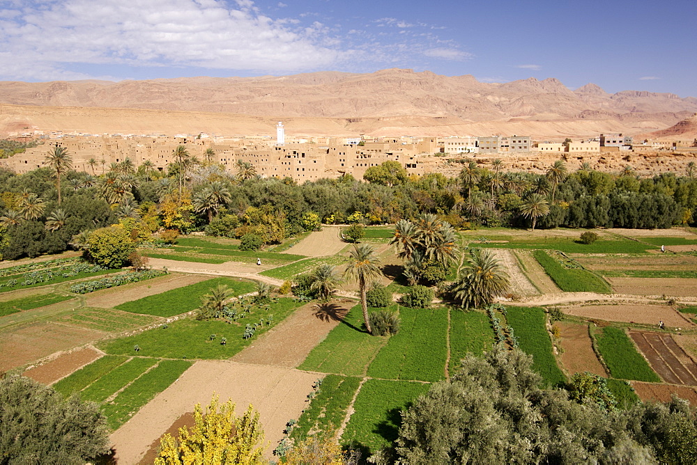 Villages and plantations at the beginning of the Todra Gorge in the vicinity of Tinehir in the High Atlas mountains of Morocco