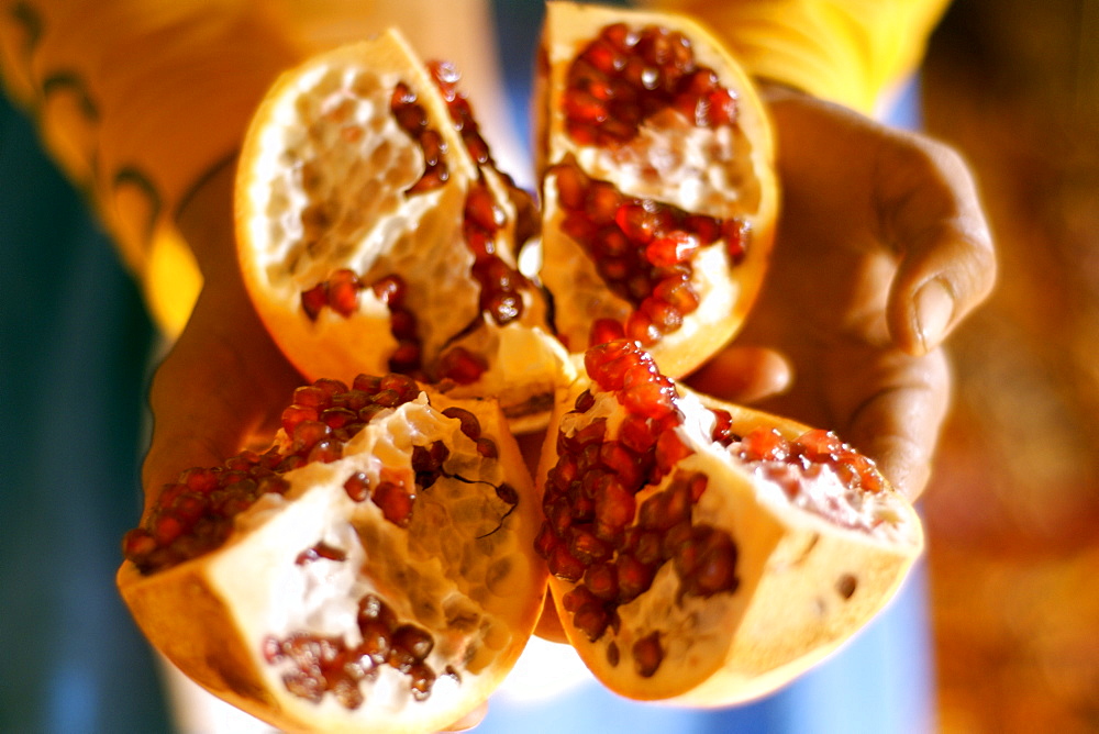 A berber man holds an open pomegranate displaying the edible red berries inside.