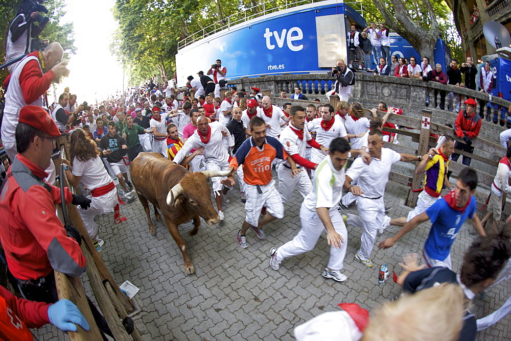 Crowds running with bulls during the annual festival of San Fermin (The Running of the Bulls) in Pamplona, Navarra, Euskadi, Spain, Europe