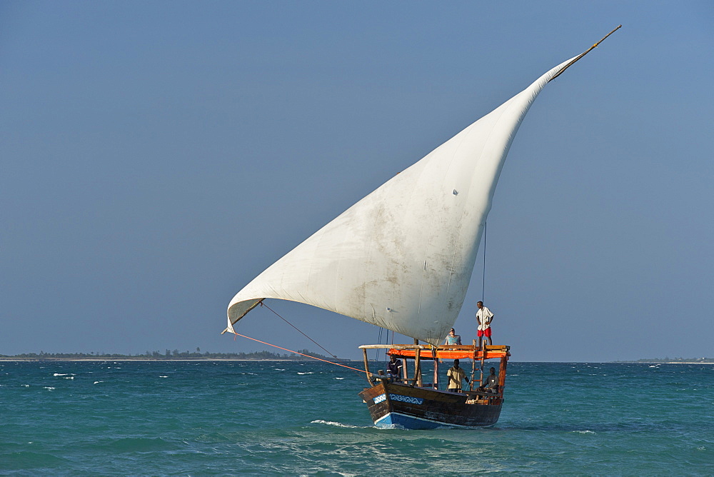 Dhow sailing in the Quirimbas archipelago off the coast of northern Mozambique, Indian Ocean, Africa