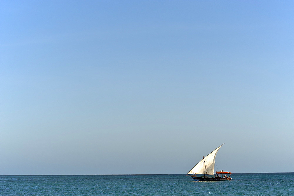 Dhow sailing in the Quirimbas archipelago off the coast of northern Mozambique, Indian Ocean, Africa