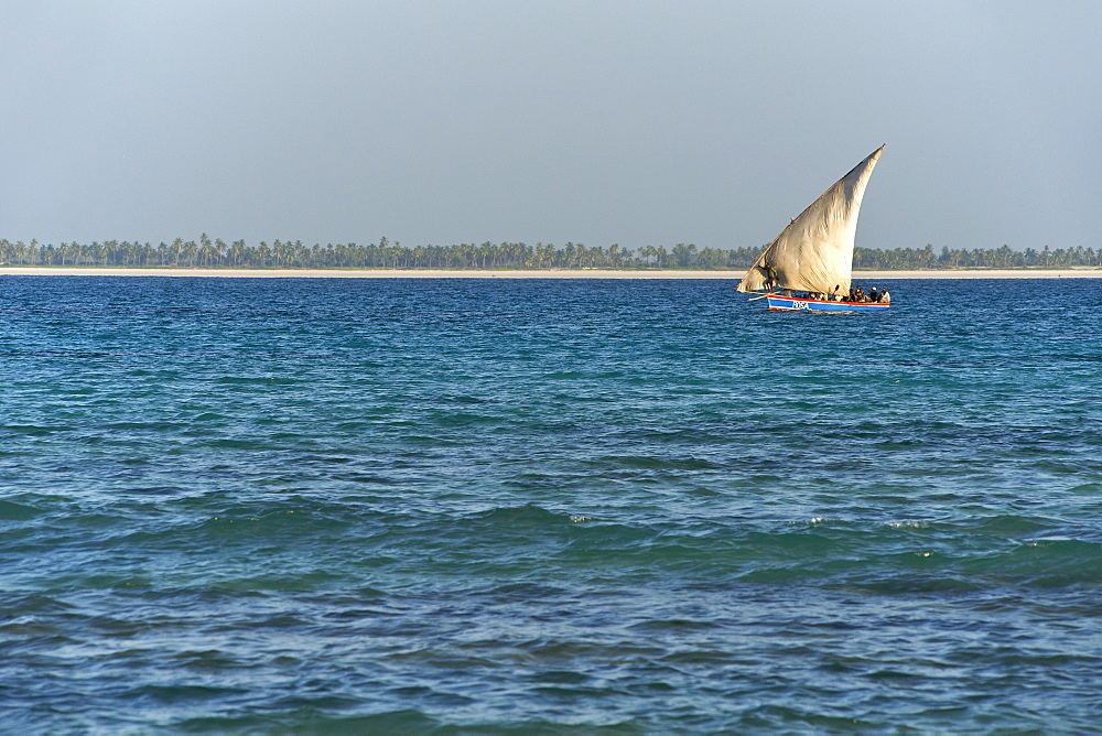 Dhow sailing in the Quirimbas archipelago off the coast of northern Mozambique, Indian Ocean, Africa