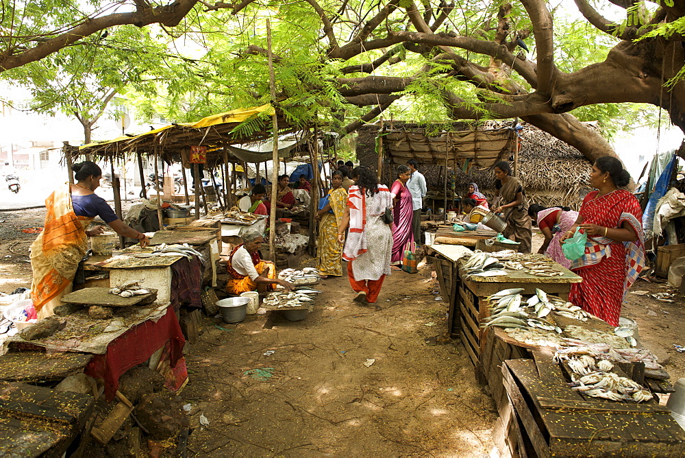 Gingee Salai fish market in Pondicherry India