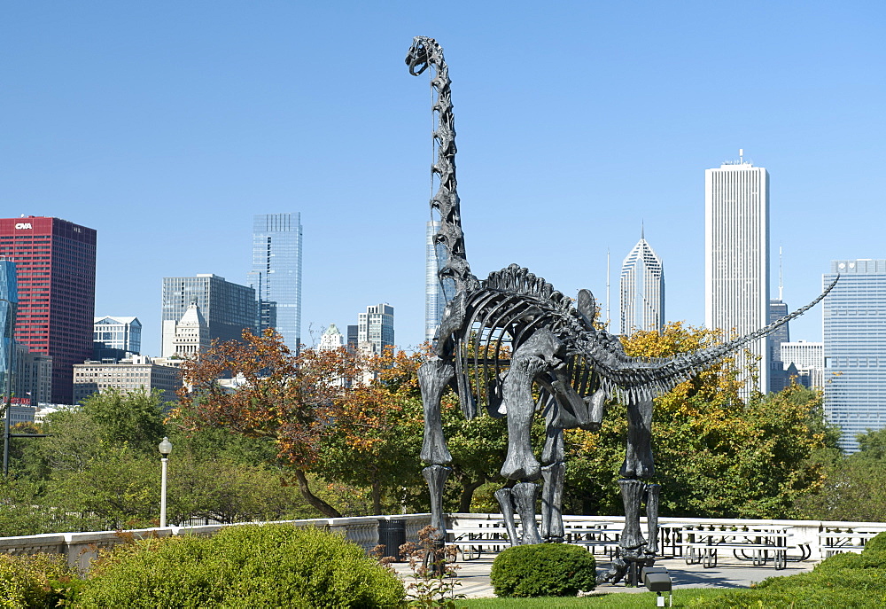 Brachiosaurus sculpture outside the Field Museum of Natural History in Chicago, Illinois, United States of America, North America