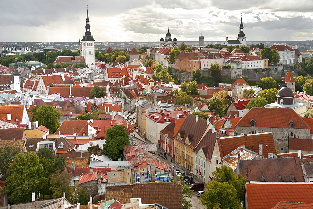 View over the rooftops of the old town of Tallinn, UNESCO World Heritage Site, Estonia, Baltic States, Europe