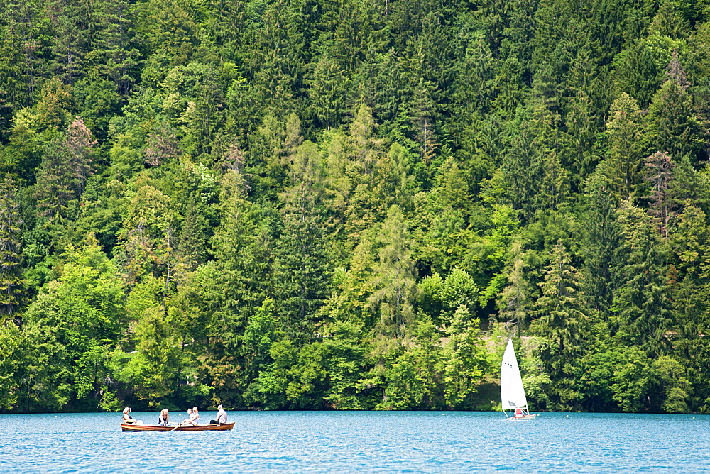 The forested shores of Lake Bled in the Julian Alps in northwest Slovenia, Europe