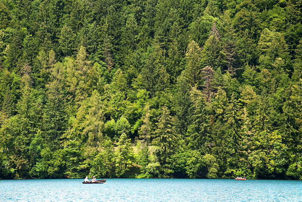 The forested shores of Lake Bled in the Julian Alps in northwest Slovenia, Europe