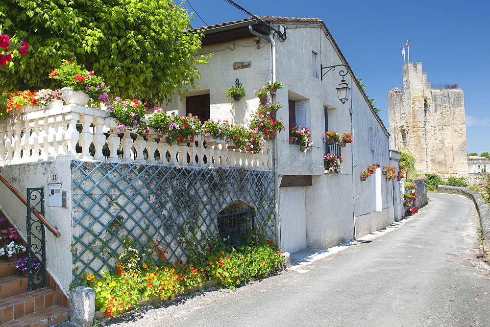 Houses with flowers in Saint-Emilion village in the Gironde department of the Aquitaine region in southwestern France, Europe