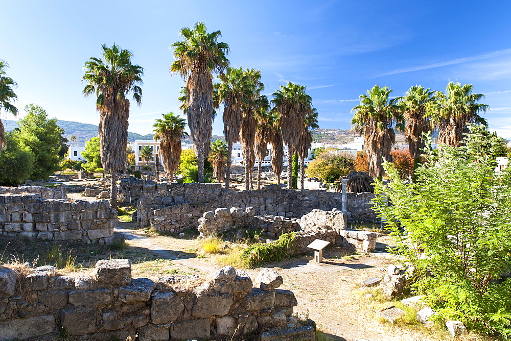 Ruins of the Ancient town of Kos on the Greek island of Kos, Dodecanese, Greek Islands, Greece, Europe