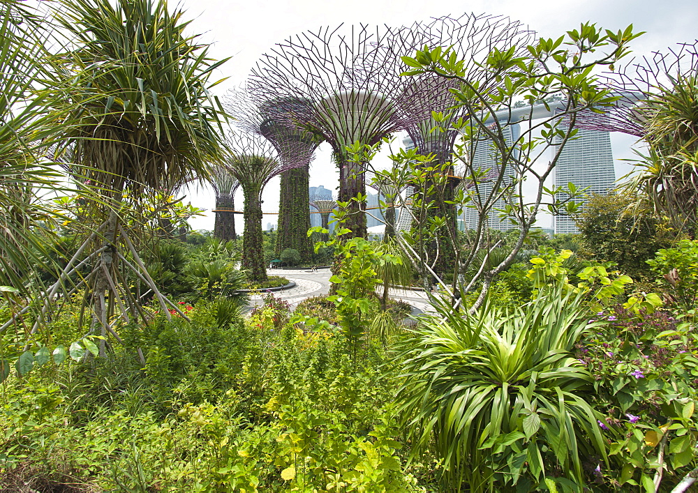 Gardens by the bay in Singapore.