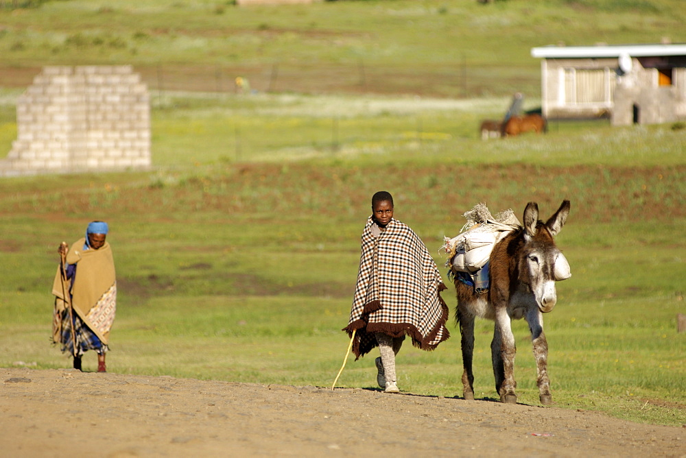 A Basotho child and elderly lady walking with a donkey in the village of Semonkong in Lesotho, Africa