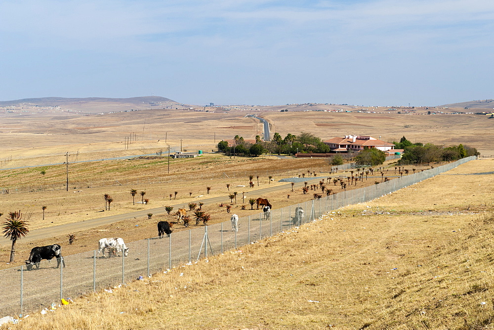 The house Nelson Mandela built after he became president. It is in Qunu, Eastern Cape Province, South Africa.