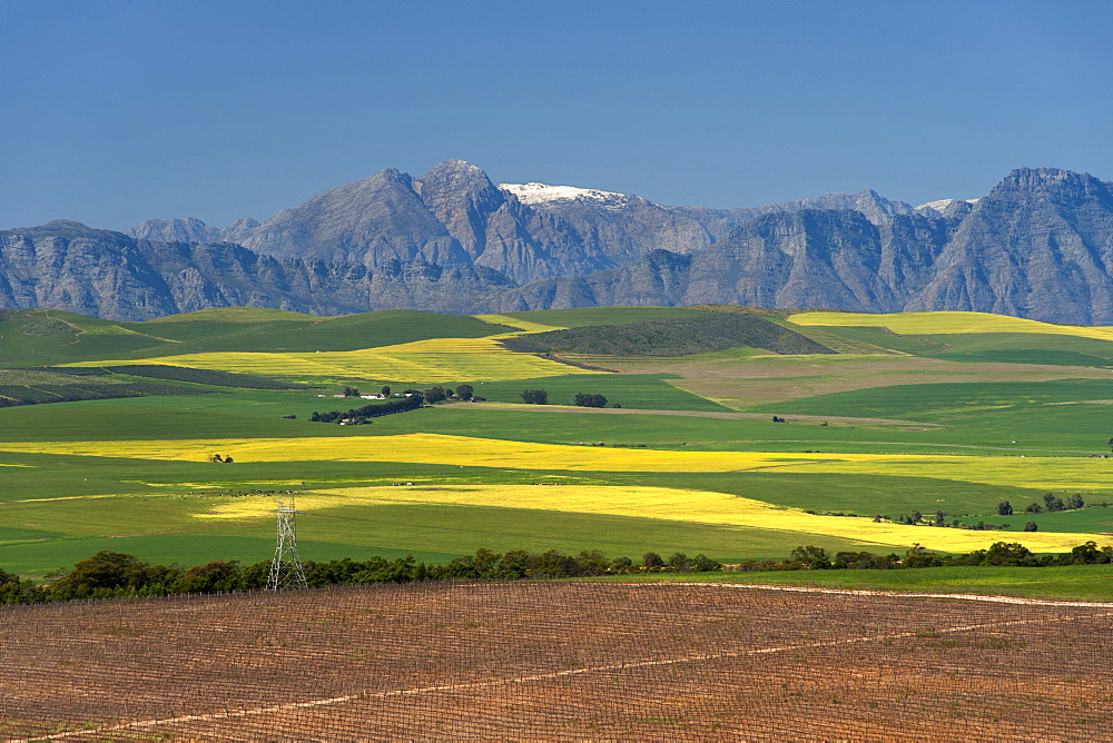 View across farmlands of the Boland mountains in South Africa's Western Cape Province.