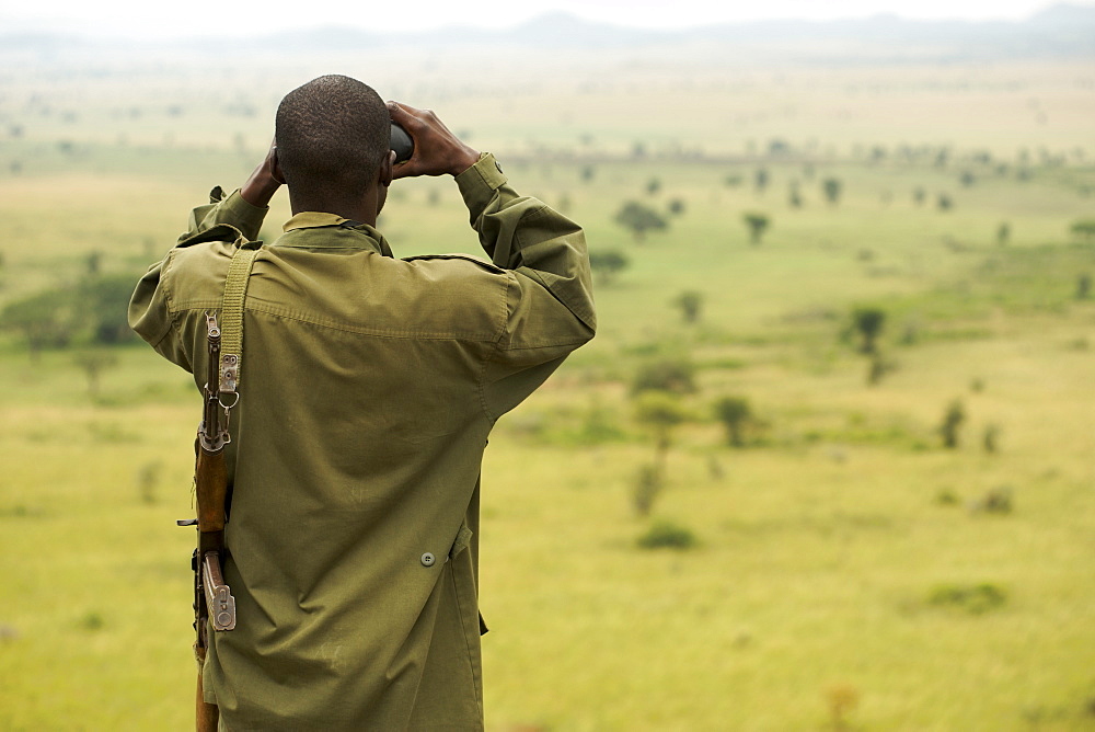 An armed, Uganda Wildlife Authority game ranger looking through binoculars in Kidepo Valley National Park in northern Uganda.