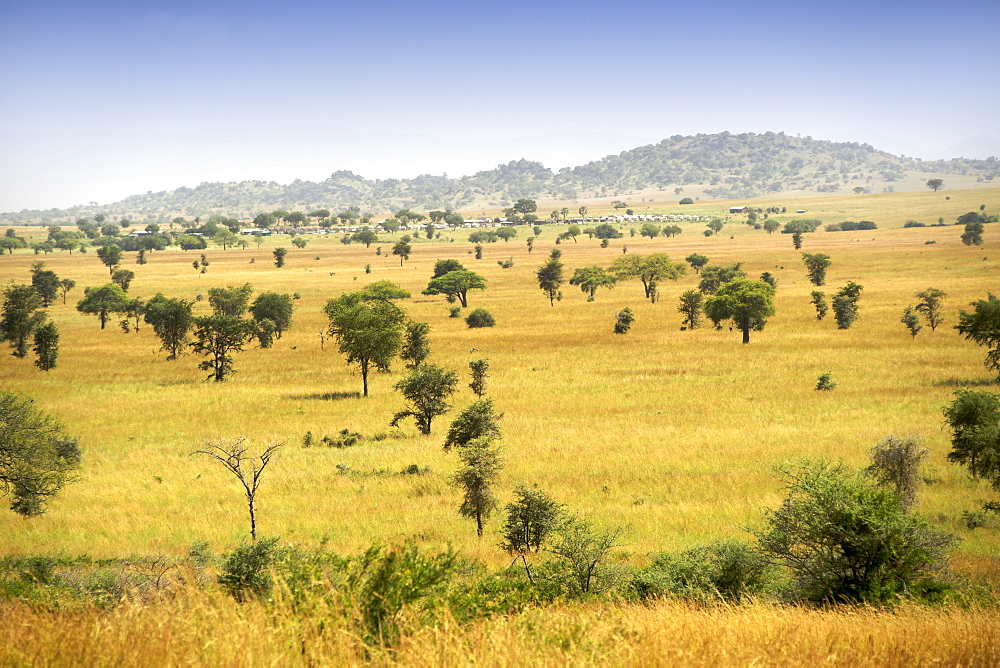 View across the plains of the main camp in Kidepo Valley National Park in northern Uganda.