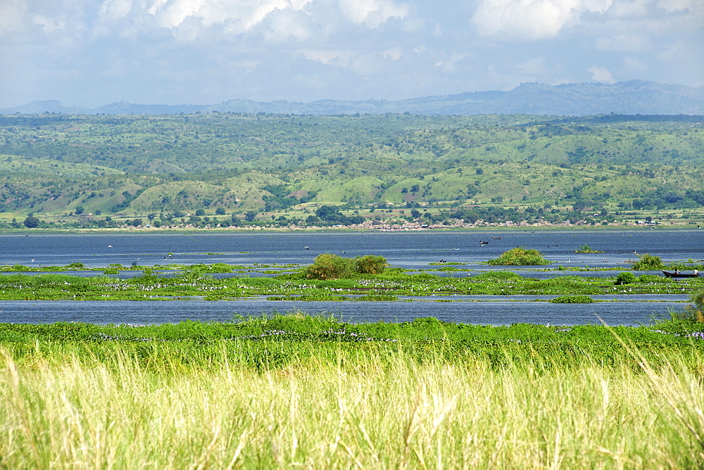 View of the Albert Nile River from the delta in Murchison Falls National Park in Uganda.