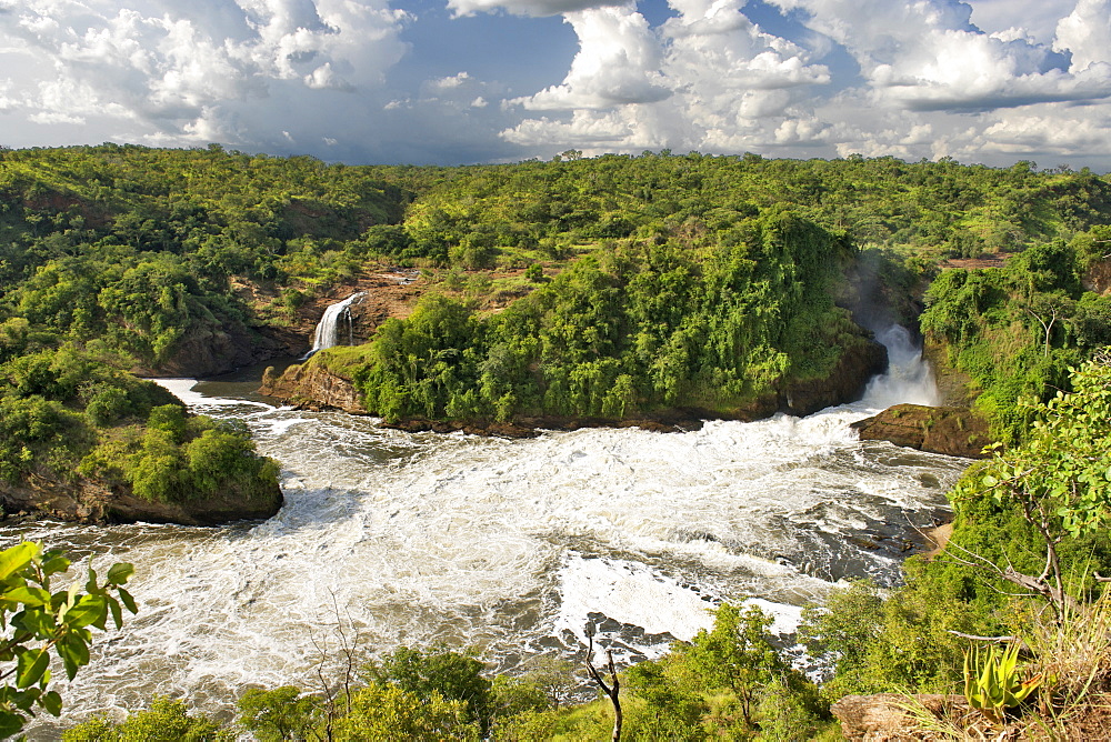 View of Murchison Falls on the Victoria Nile River in the Murchison Falls National Park in Uganda.