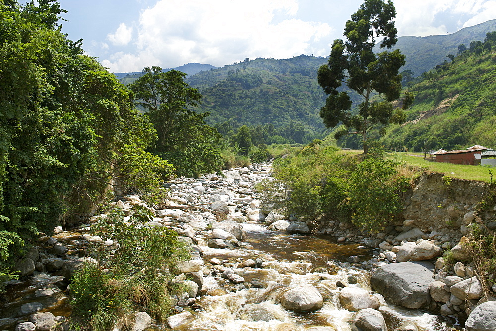 Nyamwamba River near Kilmebe in the Rwenzori Mountains of Western Uganda.