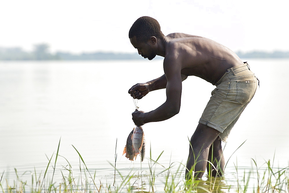 Ugandan man with Tilapia fish at Kasenyi village on the shores of Lake George in western Uganda.