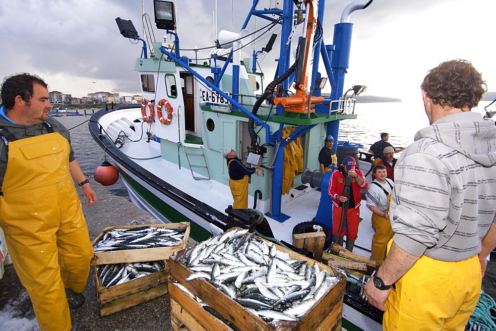 Fishermen offloading their catch of sardines into crates in the town of Camarin~as on the Atlantic coast of A Corun~a province in Spain's Galicia region.