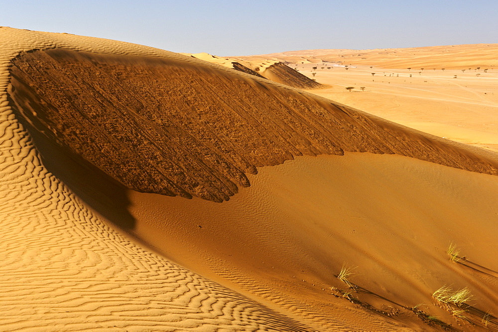 The dunes of Wahiba Sands (Ramlat al Wahaybah) in Oman.