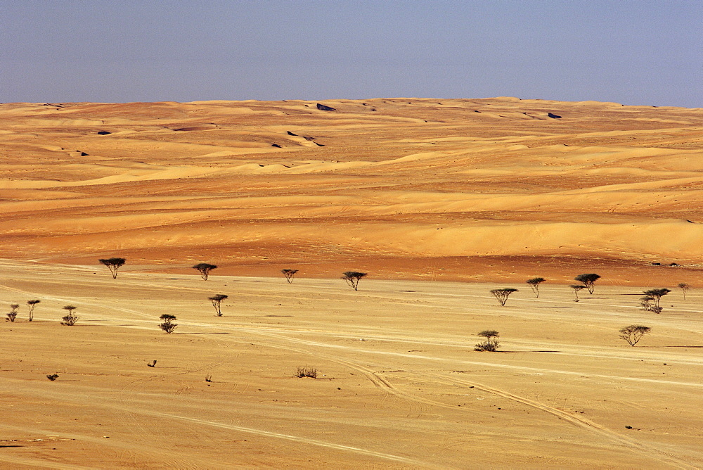 The dunes of Wahiba Sands (Ramlat al Wahaybah) in Oman.