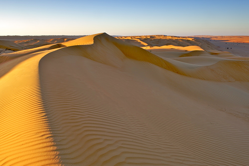 Dawn over Wahiba Sands (Ramlat al Wahaybah) in Oman.