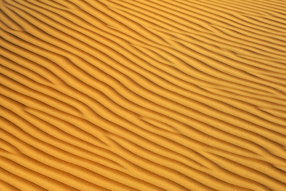 Patterns in the sand in Wahiba Sands (Ramlat al Wahaybah) in Oman.