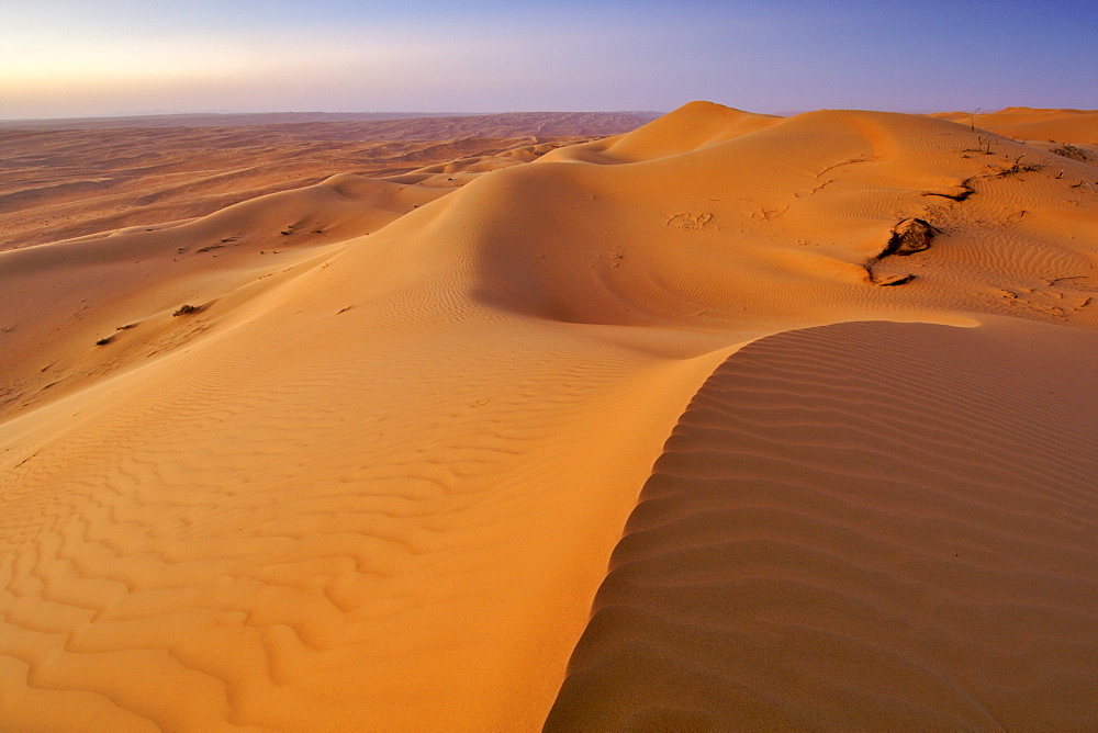 View across Wahiba Sands (Ramlat al Wahaybah) in Oman.