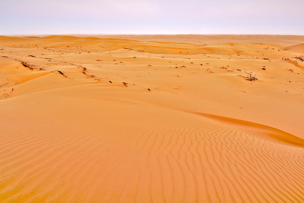 View across Wahiba Sands (Ramlat al Wahaybah) in Oman.