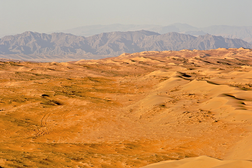 View across Wahiba Sands (Ramlat al Wahaybah) in Oman.