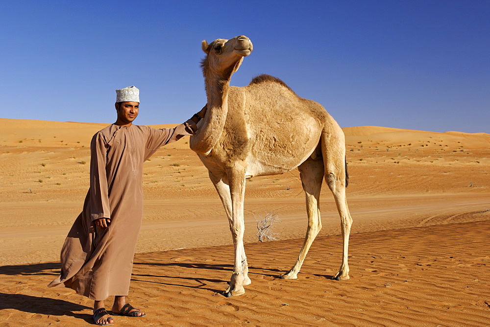 An Omani man standing with an Arabian camel or one-humped dromedary (Camelus dromedarius) in Wahiba Sands in Oman.