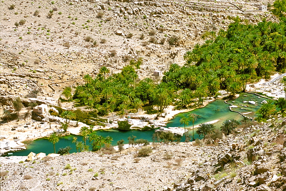 Date palms and rock pools of Wadi Bani Khalid in the Eastern Hajar mountains of Oman.