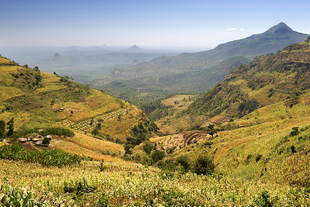 View across the Great Rift Valley from the slopes of Mount Elgon in Uganda.