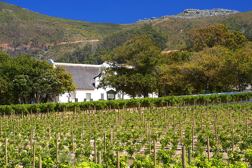 The manor house at Groot Constantia wine estate in Cape Town, South Africa.