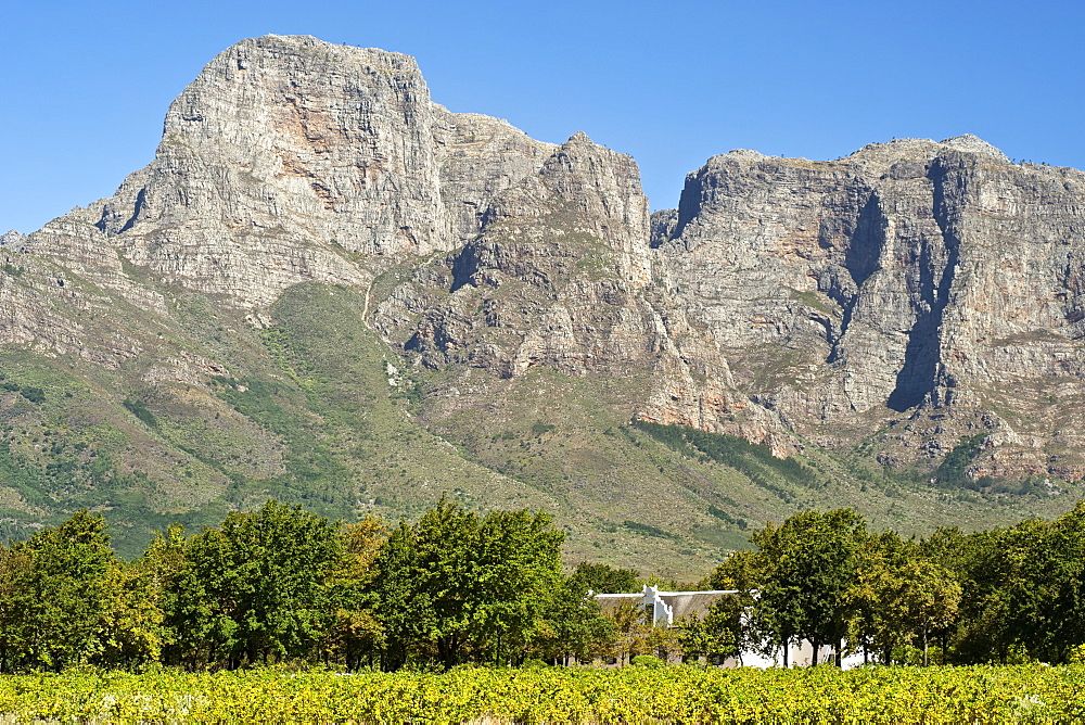 Manor house of the Boschendal wine estate nestled at the foot of the Groot Drakenstein Mountains between Franschhoek and Stellenbosch.