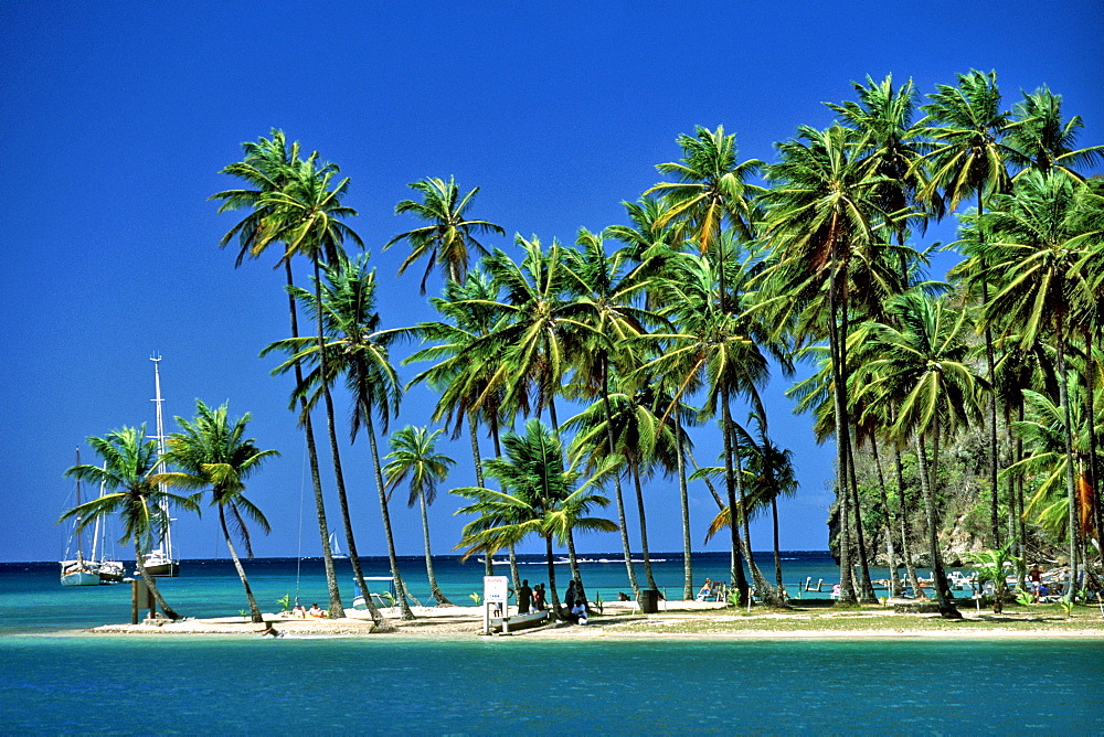 Marigot Bay in St. Lucia, Windward Islands, West Indies, Caribbean, Central America