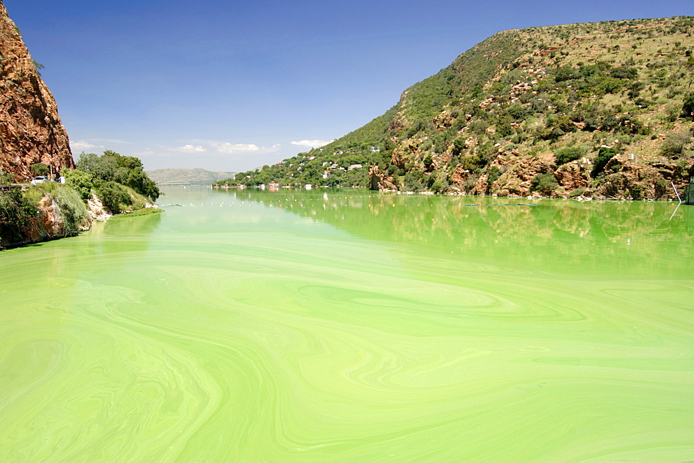 The Hartbeespoort dam in South Africa's North West Province. The water is green due to algae growth.