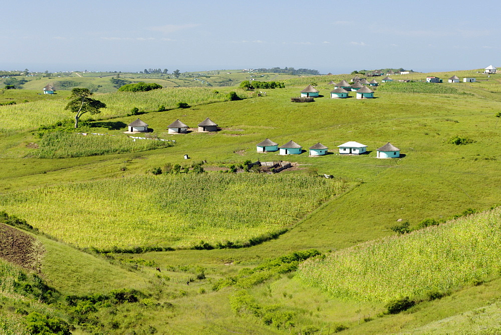 View of the landscape in the Eastern Cape Province of South Africa. This is an area along the Coffee Bay road in a region formerly known as the Transkei.