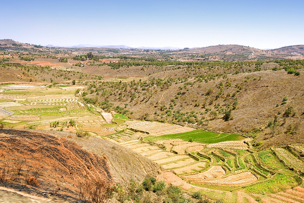 Landscape with rice paddies and assorted crops approximately 20 kms north of Antananarivo, Madagascar, Africa