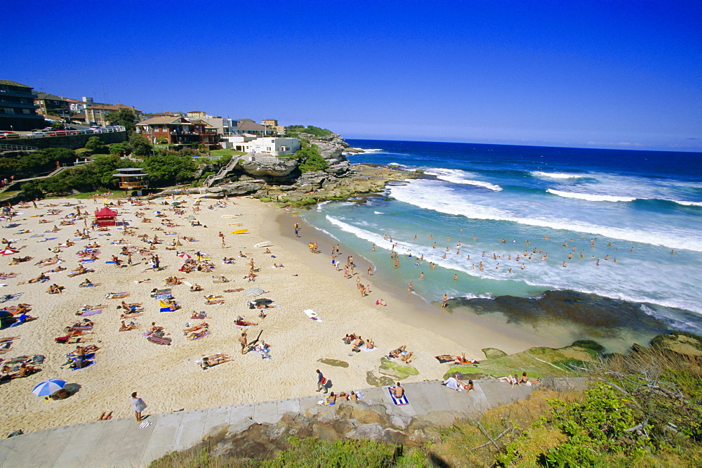 Tamarama, fashional beach south of Bondi, Eastern suburbs, Sydney, New South Wales, Australia, Pacific