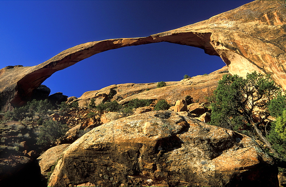 306ft 'Landscape Arch', Arches National Park, Utah, Usa306ft 'Landscape Arch', the longest such landform in this spectacular park of eroded formations, including over 2000 arches