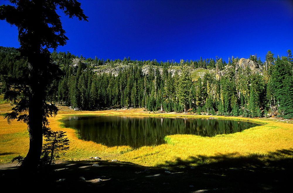 'Cold Boiling Lake' in Lassen Volcanic National Park, Northern California, Usaan area of volcanic activities and features around Lassen Peak volcano