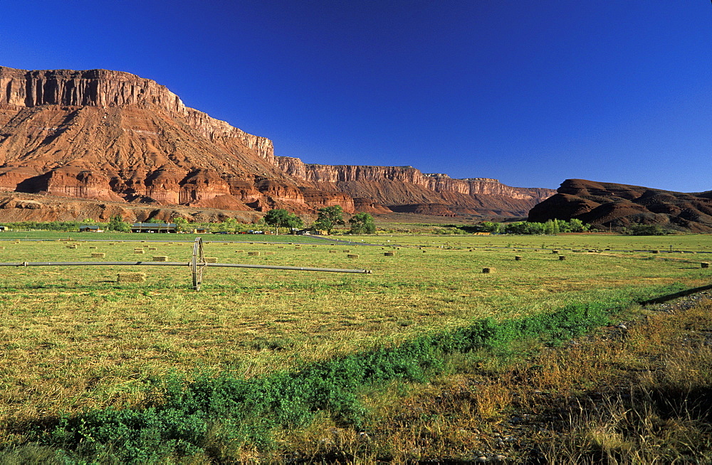 Irrigated ranch by the Colorado River adds green to this otherwise arid landscape of sandstone canyons north east of Moab, Colorado River, Utah, Usa