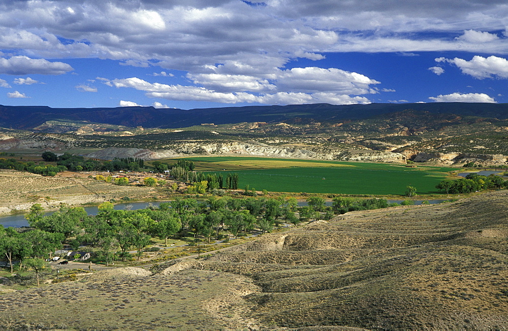 Irrigated fields at the Daniel/Chew ranch, an arable and stock family farm that relies on water from the nearby Green River, within Dinosaur National Monument, Utah, Usa