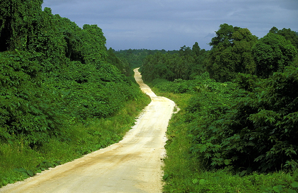 The main coastal road on the east coast of Santo, Vanuatu's largest island, Espiritu Santo, Vanuatu