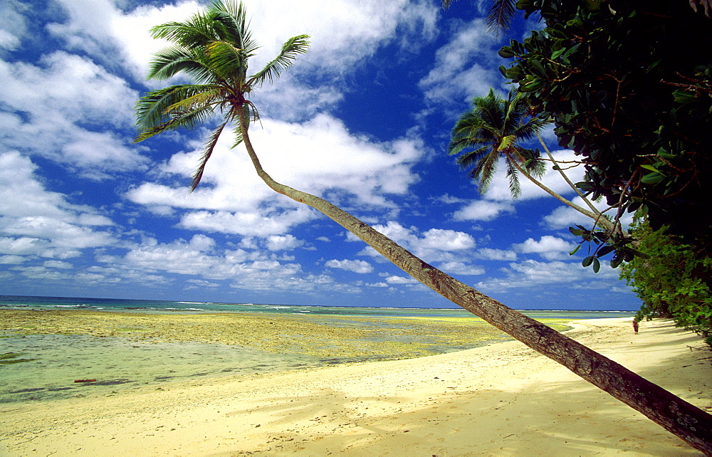 Palm-fringed beach at Lavena Villlage, start of the famous Lavena Coastal Walk in this national park on the south coast of Taveuni - the 'Garden Island, Bouma National Park, Taveuni, Fiji